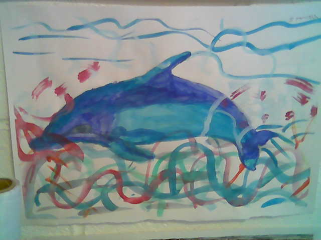 dolphinsharon.jpg